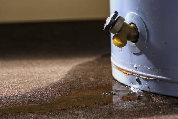 Best Water damage mitigation services  in Halsey, OR