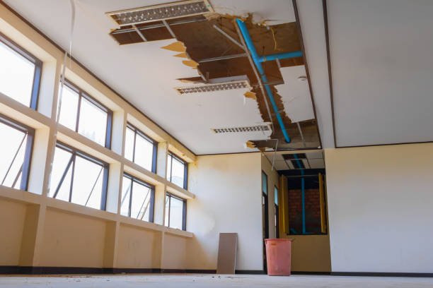 Best Water damage restoration cost  in Halsey, OR