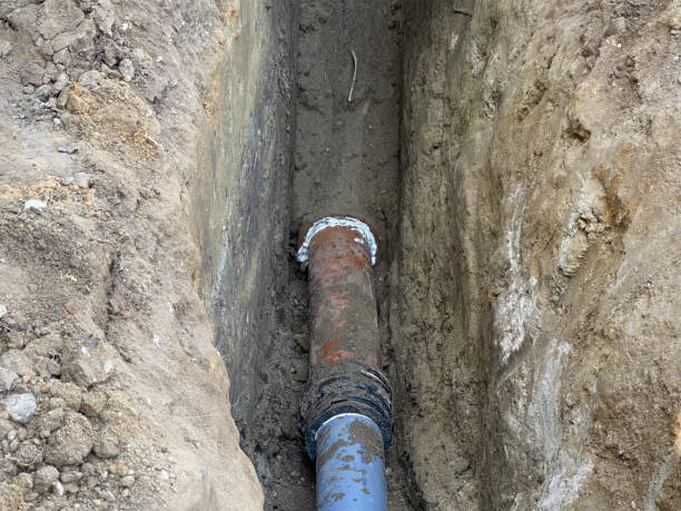 Best Basement water damage restoration  in Halsey, OR
