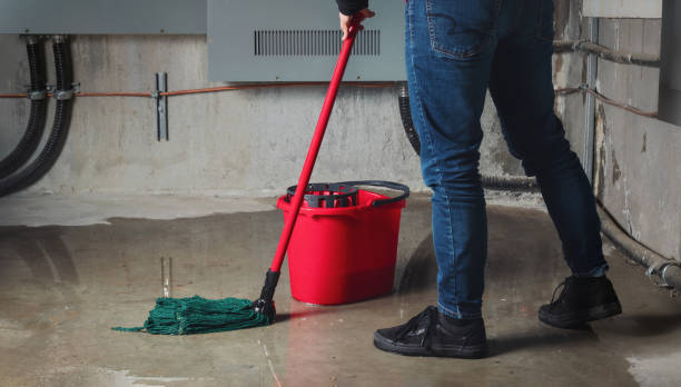 Best Flood restoration services  in Halsey, OR