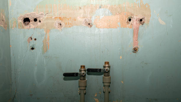 Best Water damage contractors near me  in Halsey, OR