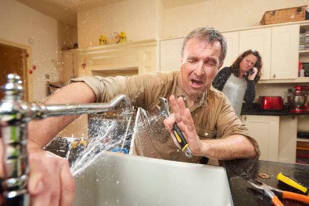Best Flooded house restoration  in Halsey, OR
